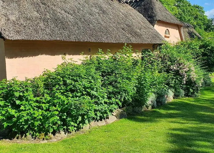 Liebhaveri I Saerklasse